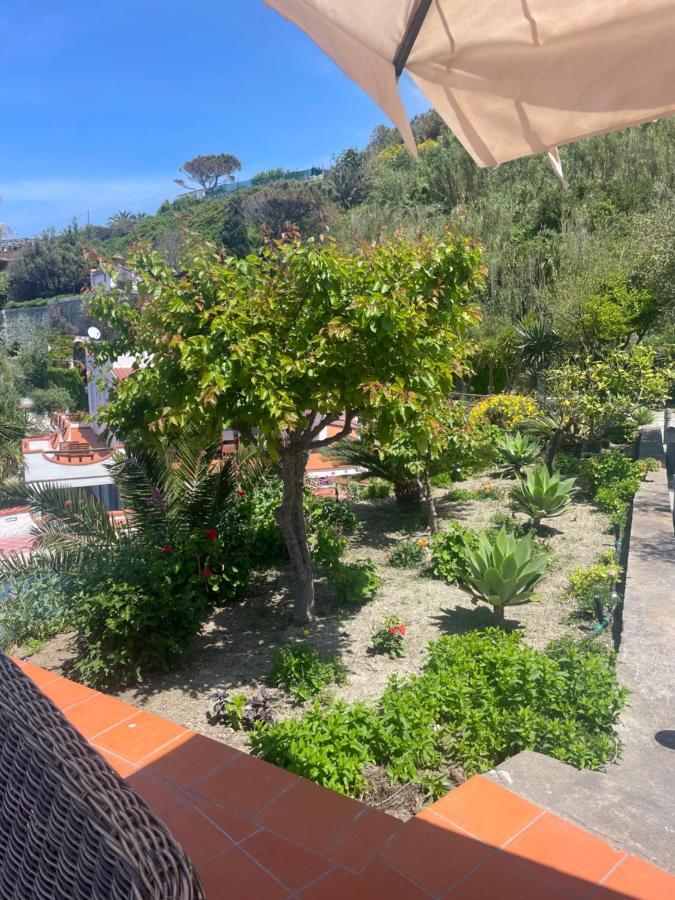 Villa La Dimora Di Zoe Forio  Екстер'єр фото